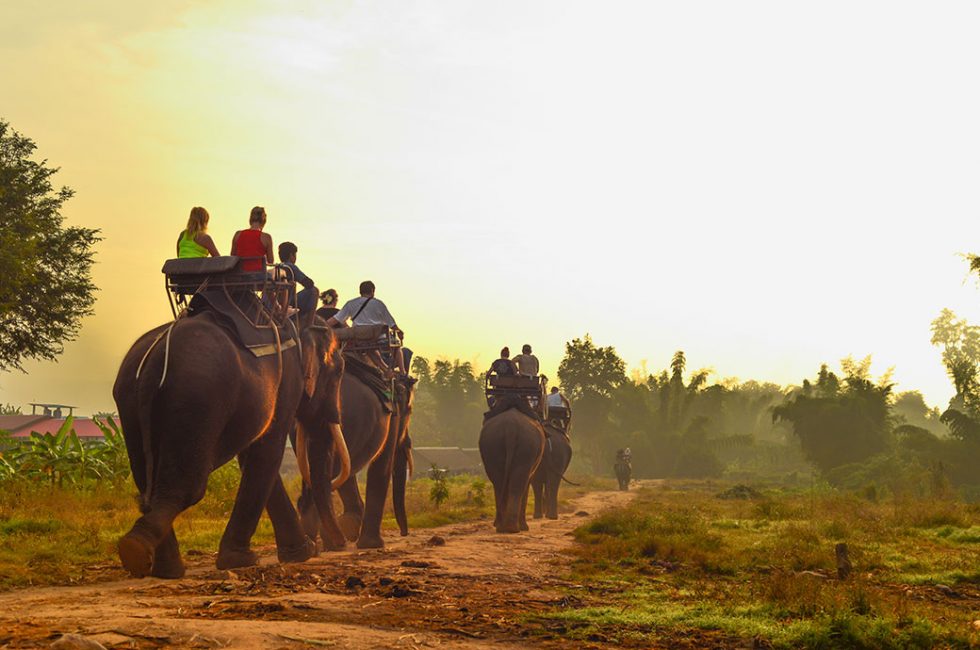 elephant-sanctuary-1